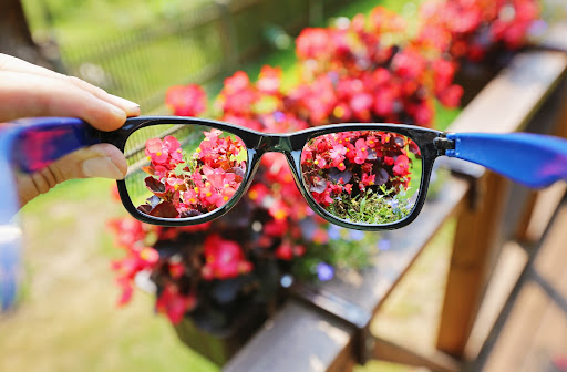 A woman's hand holding out a pair of glasses lenses for hyperopia, showing a blurry image around them while the red flowers are focused through the lenses.